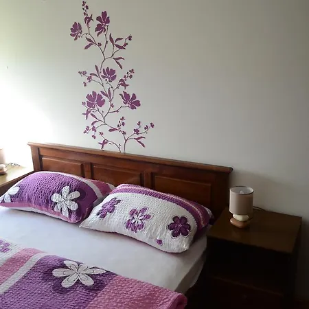 Apartment Nika