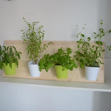 Nika Apartment *