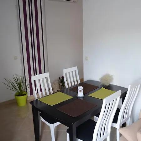 Apartment Nika