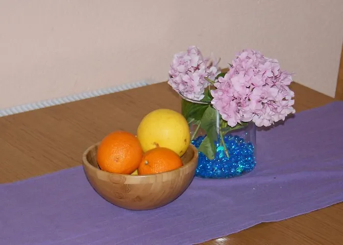 Nika Задар