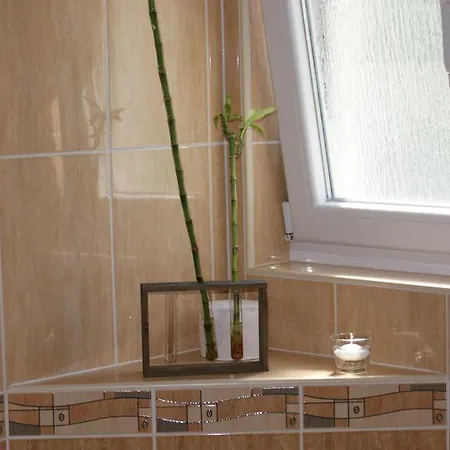 Nika Apartman *