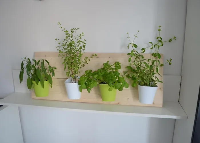 Nika Διαμέρισμα *