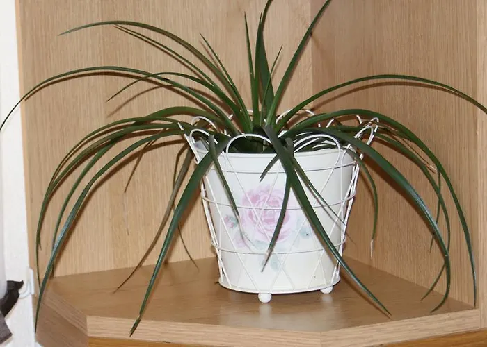 Lejlighed Nika Zadar