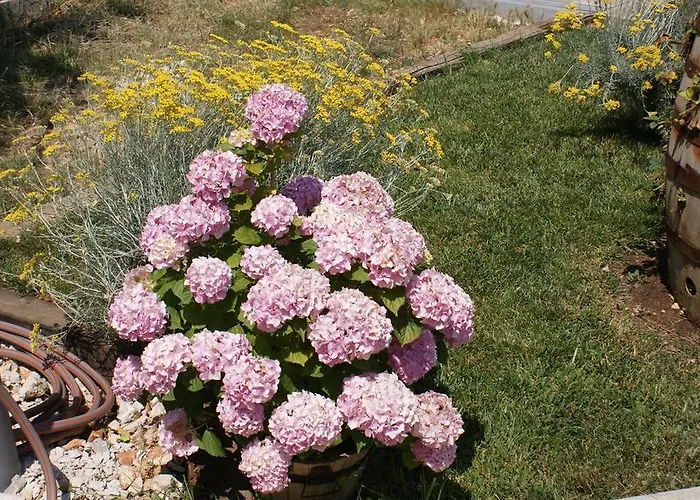 Διαμέρισμα Nika